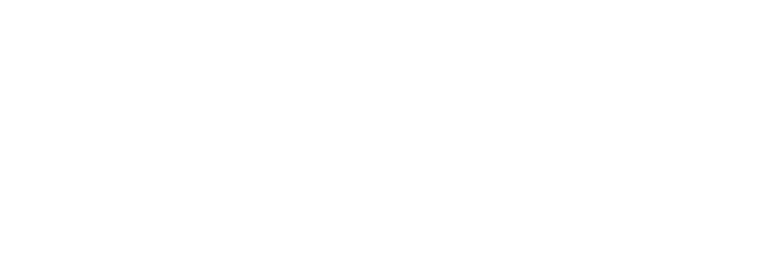 DS Investment & Securities